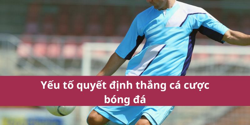 Hướng Dẫn Cá Cược Bóng Đá Chi Tiết Và Chính Xác Nhất 2025 3 Yếu tố quyết định thắng cá cược bóng đá