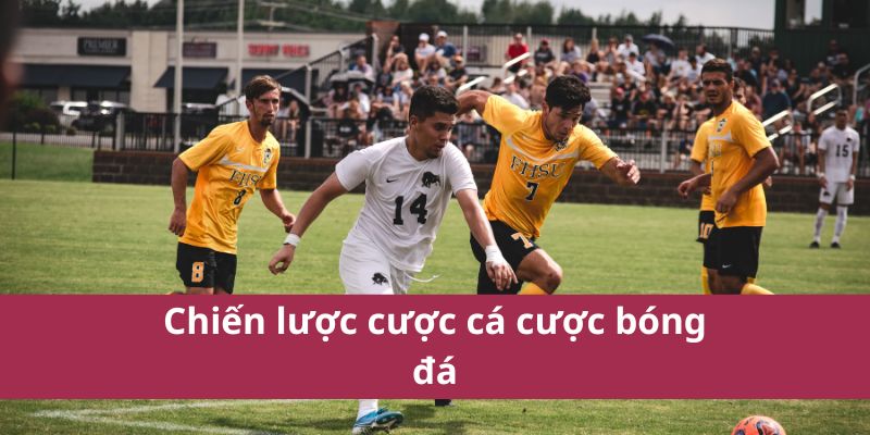 Hướng Dẫn Cá Cược Bóng Đá Chi Tiết Và Chính Xác Nhất 2025 4 Chiến lược cược cá cược bóng đá