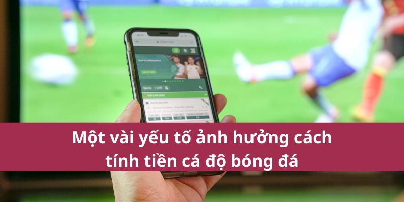 Cách Tính Tiền Cá Độ Bóng Đá Chính Xác Mới Nhất Năm 2025 3 Một vài yếu tố ảnh hưởng cách tính tiền cá độ bóng đá