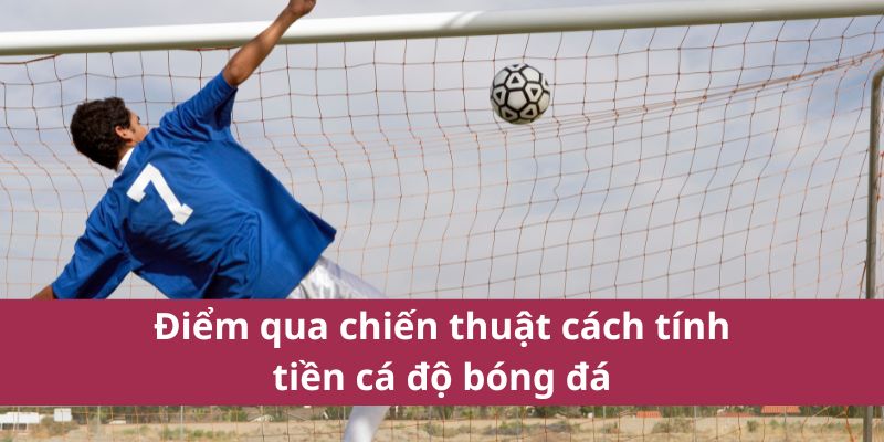 Cách Tính Tiền Cá Độ Bóng Đá Chính Xác Mới Nhất Năm 2025 4 Điểm qua chiến thuật cách tính tiền cá độ bóng đá