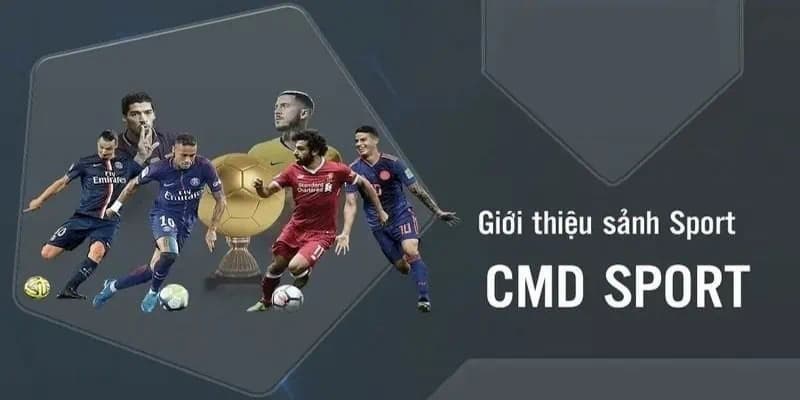 CMD Thể Thao Hello88 - Top Bộ Môn Hấp Dẫn Độc Quyền 2 Giới thiệu sơ lược về sân triệu đô nhà Hello88